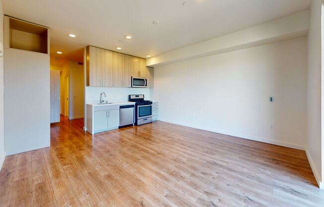 Studio, 1 bath, 463 sqft, $1,900, Unit 419