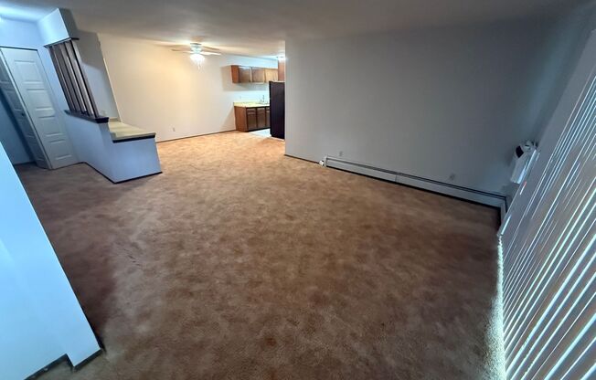 Williamsburg Flats 202