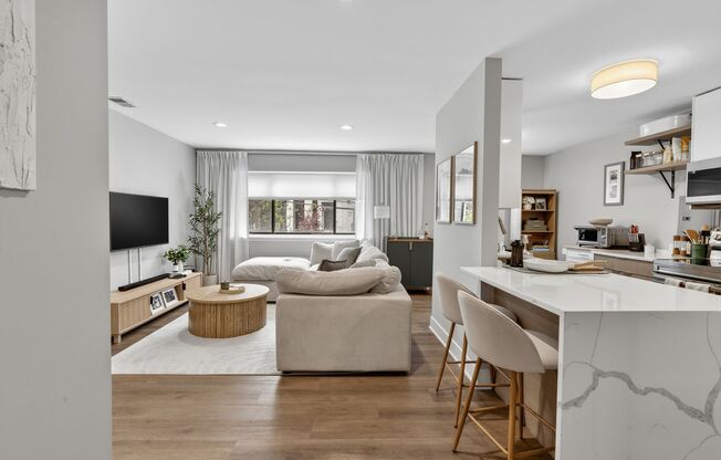 1 bed, 1 bath, 535 sqft, $2,600, Unit 1E