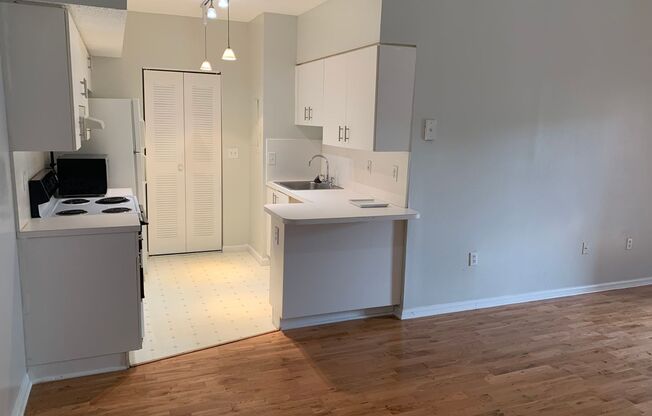 3221 Sabal Palm Manor