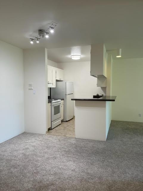 371 Imperial Way #101