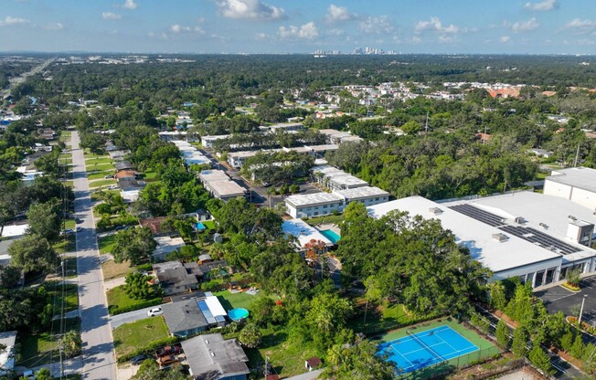 Community Aerial View