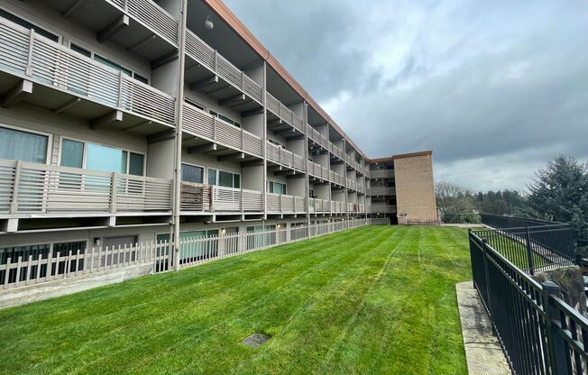 Studio, 1 bath, 370 sqft, $1,450, Unit 207