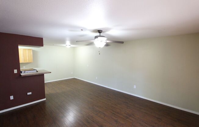 1 bed, 1 bath, $1,600, Unit # 8 163