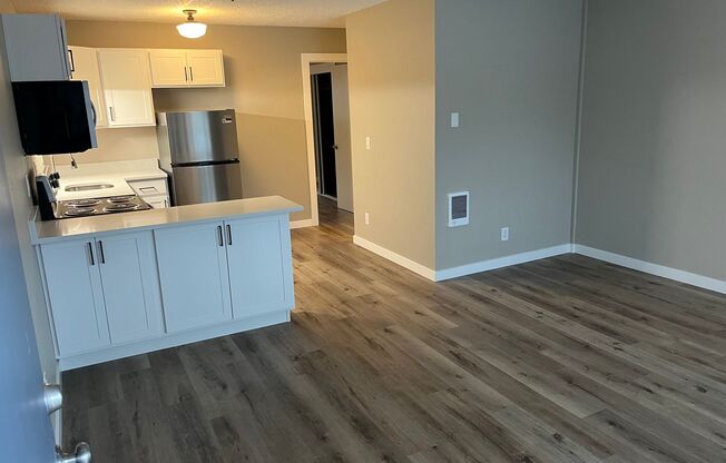 1 bed, 1 bath, 475 sqft, $1,395, Unit 14