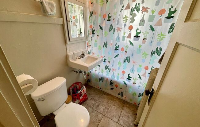1 bed, 1 bath, $895, Unit 15