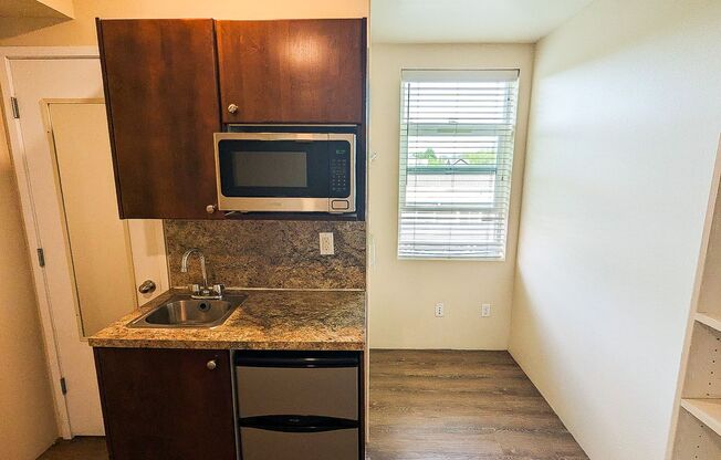 Studio, 1 bath, 160 sqft, $1,250, Unit 458