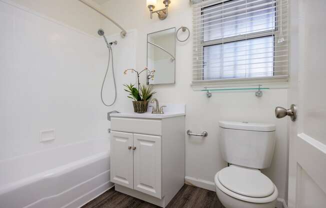 a bathroom with a toilet and a sink and a bath tub