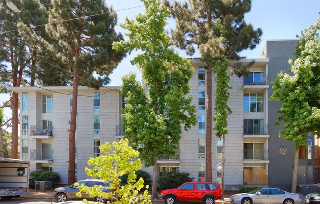 1 bed, 1 bath, 550 sqft, $2,495, Unit 312