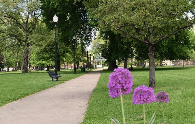 Welcome to Tremont Terraces on Lincoln Park