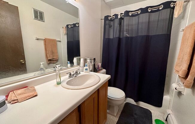 1 bed, 1 bath, $1,095, Unit 109