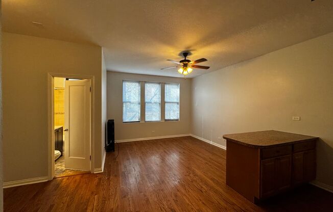 Studio, 1 bath, 450 sqft, $1,375, Unit 308