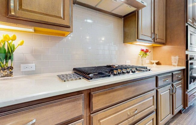 6809 TEULADA DR