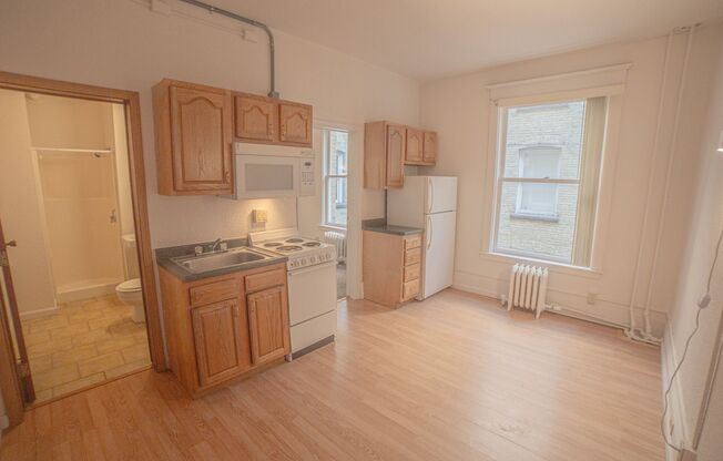 1 bed, 1 bath, 270 sqft, $540, Unit 315