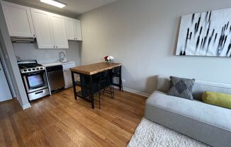 Studio, 1 bath, $1,300, Unit 207