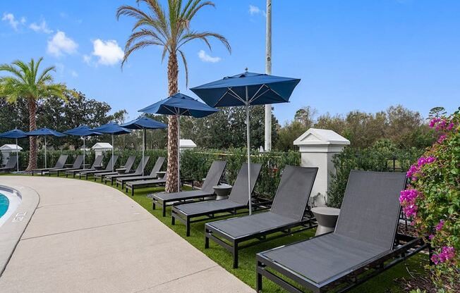 a row of lounge chairs and umbrellas next to a pool