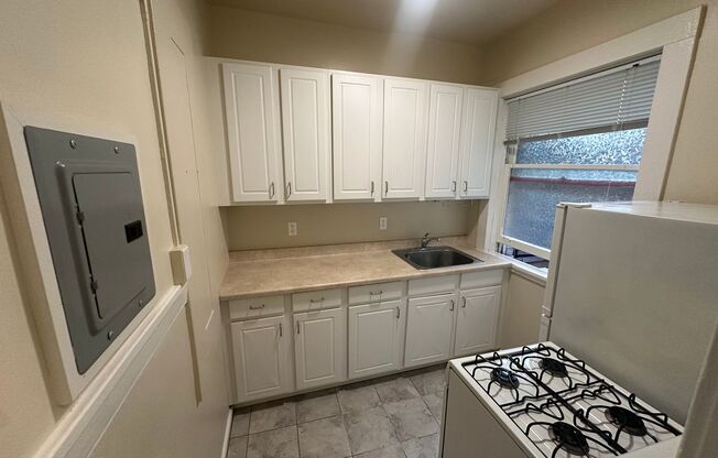 Studio, 1 bath, 350 sqft, $1,495, Unit 15
