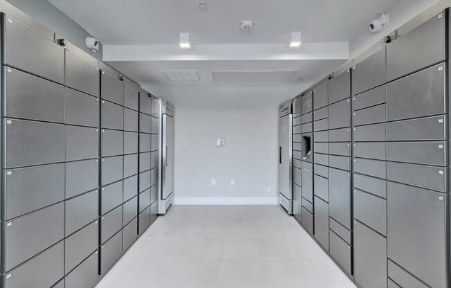 Mailroom with 24-Hour Parcel Locker Access at Windsor Ridge, Texas, 78727