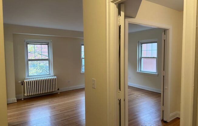 Studio, 1 bath, 301 sqft, $1,425, Unit Wellington 209