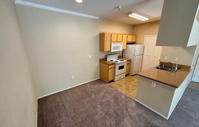 1 bed, 1 bath, $1,295, Unit # 1713