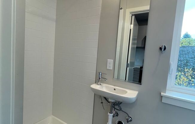 Studio, 1 bath, 243 sqft, $1,295, Unit 207