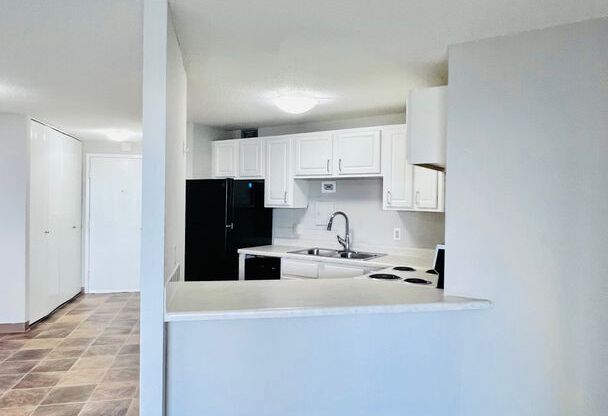 2 beds, 1 bath, 710 sqft, $1,450, Unit # 1303