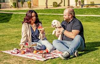 A man and woman sitting on a picnic blanket with their dog at Bristol Square apartments