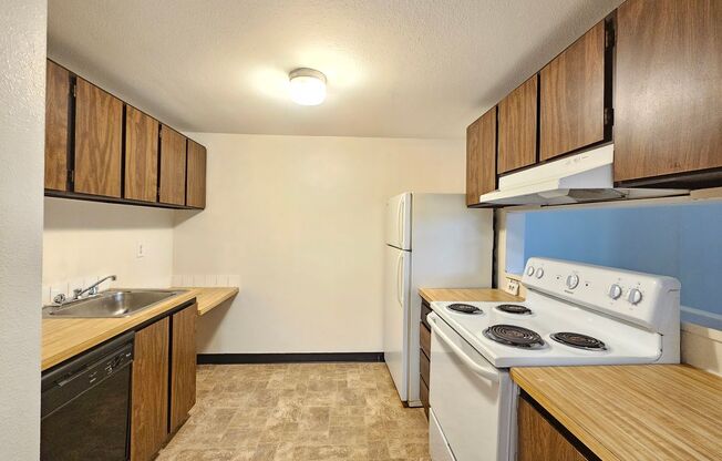 1 bed, 1 bath, 516 sqft, $950, Unit 43