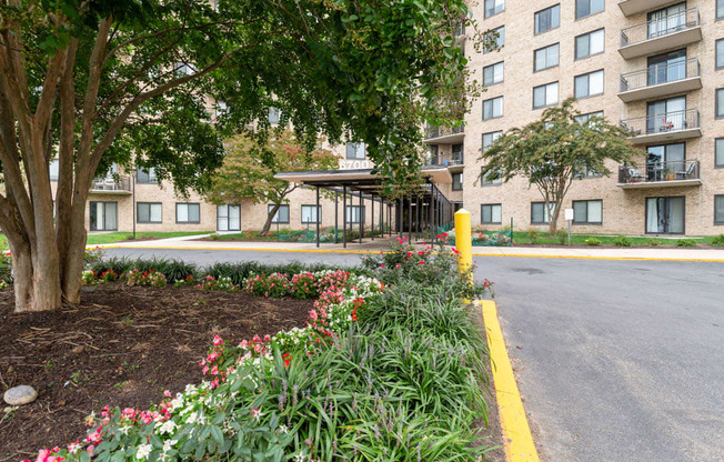 a street in front of an apartment building with a tree and flowers