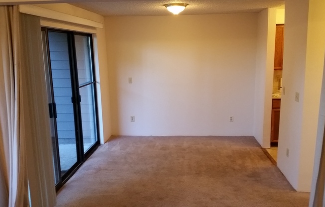 Mountain View Apartment