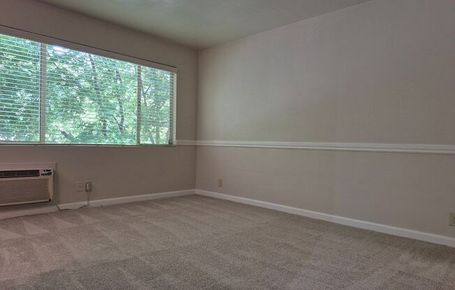Studio, 1 bath, $1,425, Unit 212