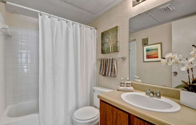 Northridge Court Apartments Bathroom Apartment for rent in Midland, TX