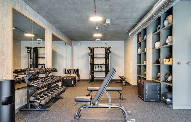 A gym with a variety of equipment including weights and a bench press.