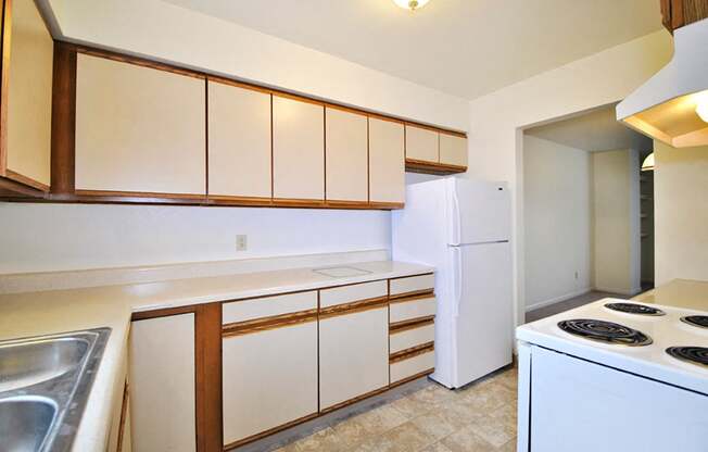 the view apartment and townhomes kitchen