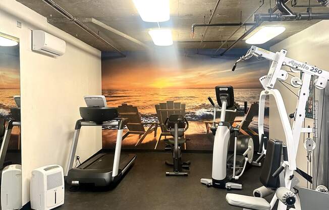 a gym with cardio machines and a wall mural of the beach