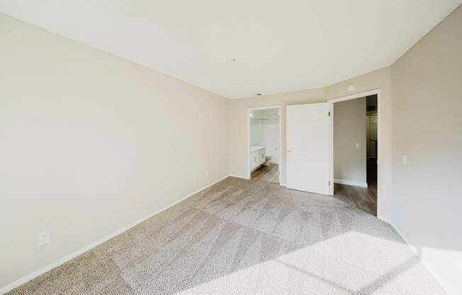 A room with a carpeted floor and a doorway leading to another room.