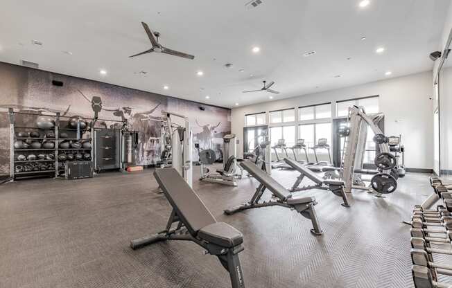 a gym with weights machines and a wall mural of gym equipment