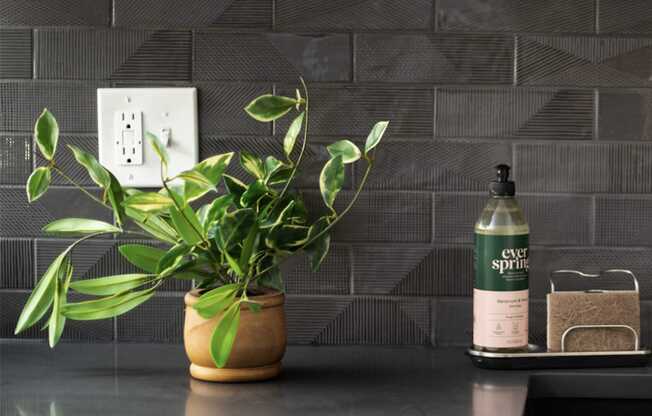 a kitchen counter with a plant and a bottle of soap on it