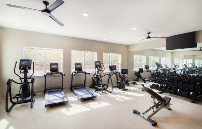 the fitness room has cardio machines and weights