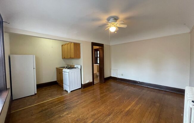 Studio, 1 bath, $725, Unit 102