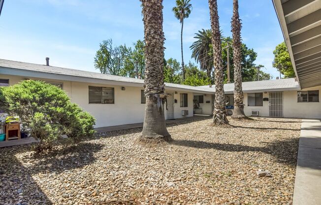 Three Palms