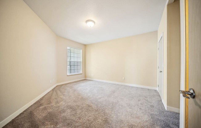 an empty living room with carpet and a window