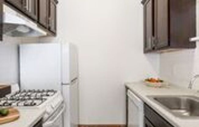 1 bed, 1 bath, 560 sqft, $1,070, Unit 305