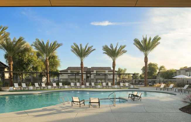 a swimming pool with chairs and palm trees
