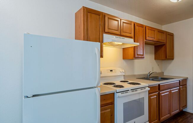 1 bed, 1 bath, 420 sqft, $1,000, Unit 1