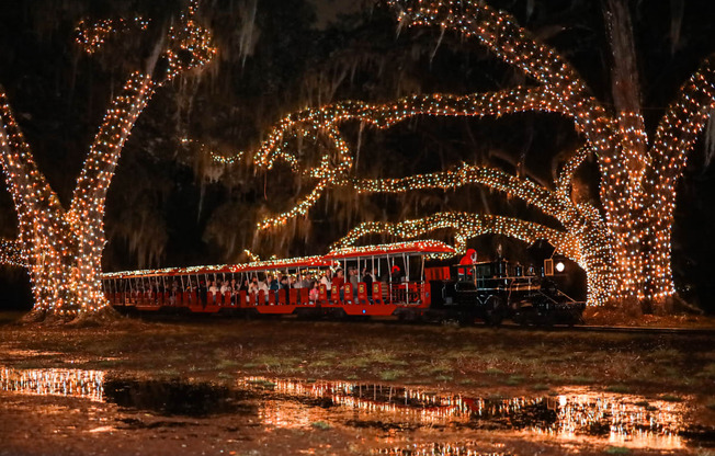 a train traveling through a tree covered in christmas lights