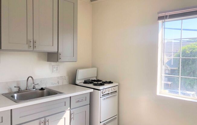 Studio, 1 bath, 312 sqft, $1,700