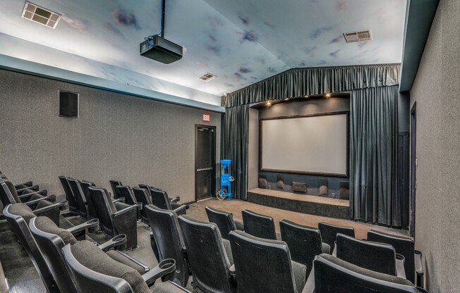 Community Movie Theater at The Canyons Apartments, Fort Worth, Texas