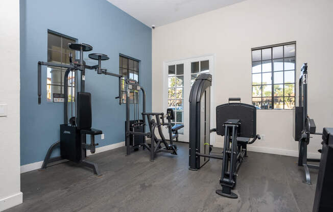 A home gym with a variety of equipment including a squat rack, bench press, and a rowing machine.