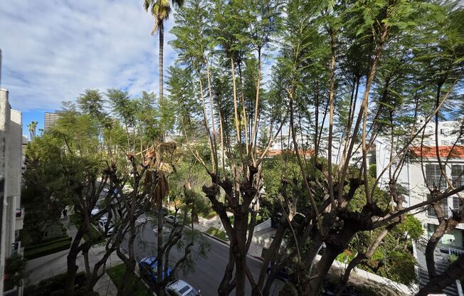 2 beds, 1 bath, 980 sqft, $3,700, Unit 539